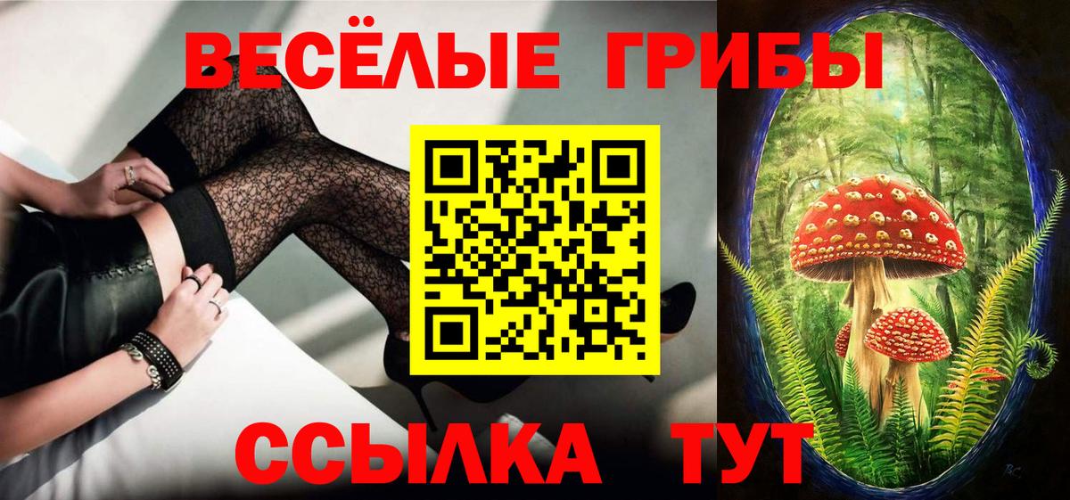Галлюциногенные грибы GOLDEN TEACHER  Галлюциногенные грибы Magic Shrooms  Вход с VPN  Строитель 