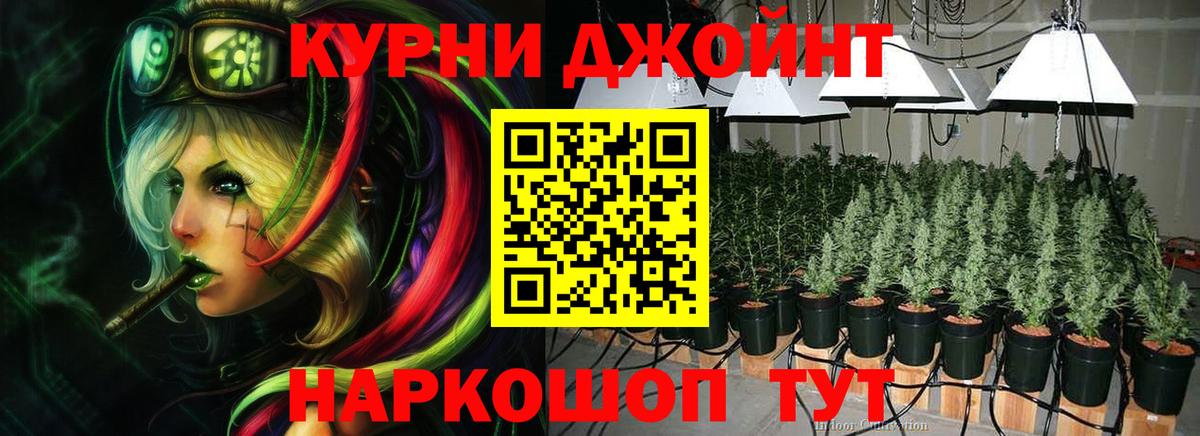 Конопля семена  Канабис семена  Строитель  Вход с VPN 
